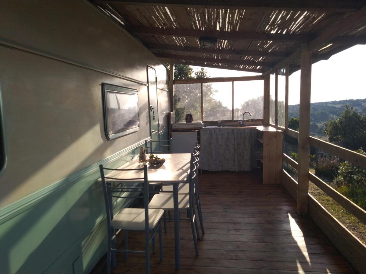 La Cera Farm Camping B&B Санта Тереза Галура Екстериор снимка
