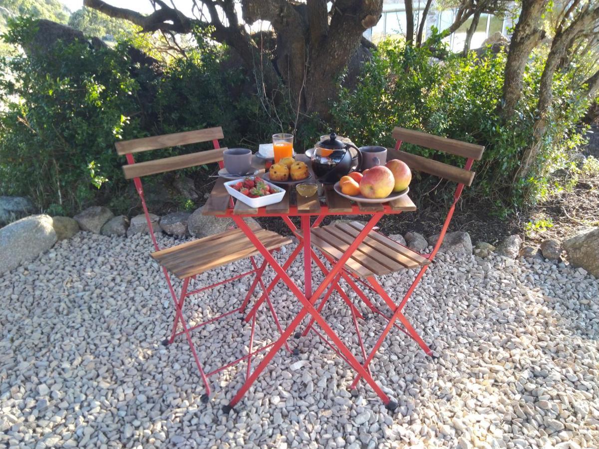 La Cera Farm Camping B&B Санта Тереза Галура Екстериор снимка