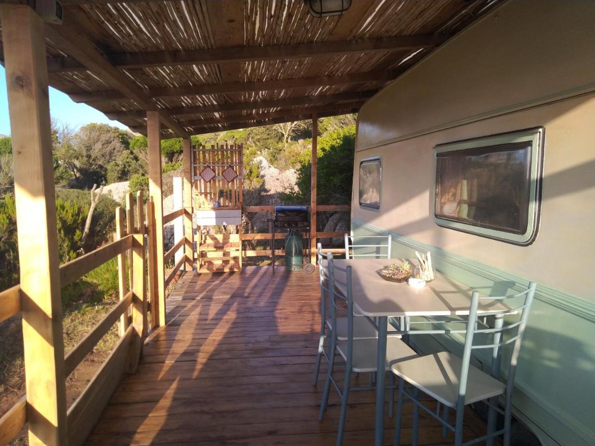 La Cera Farm Camping B&B Санта Тереза Галура Екстериор снимка