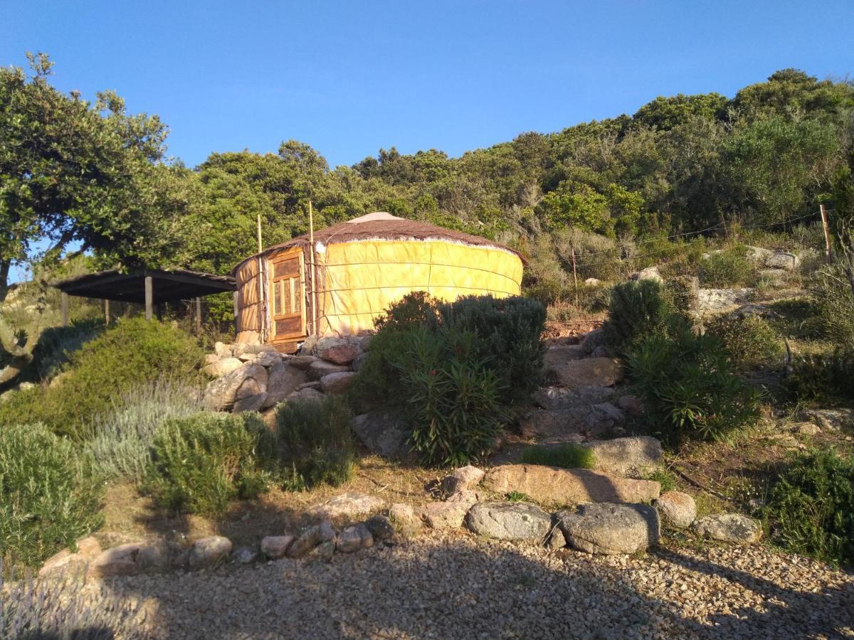 La Cera Farm Camping B&B Санта Тереза Галура Екстериор снимка