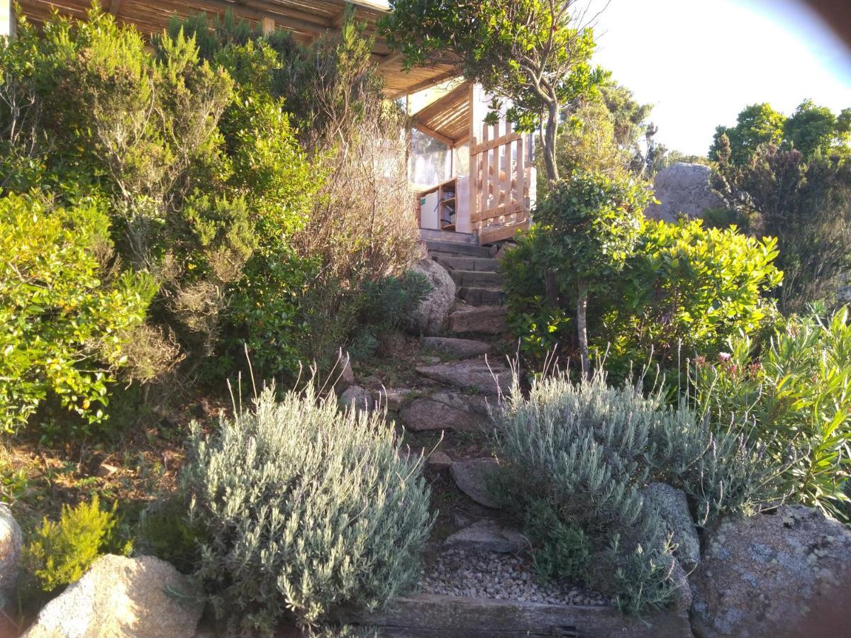 La Cera Farm Camping B&B Санта Тереза Галура Екстериор снимка