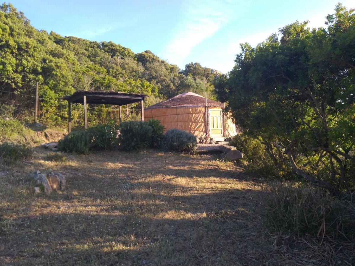 La Cera Farm Camping B&B Санта Тереза Галура Екстериор снимка