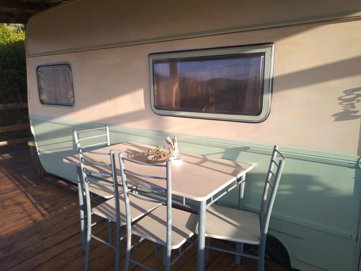 La Cera Farm Camping B&B Санта Тереза Галура Екстериор снимка