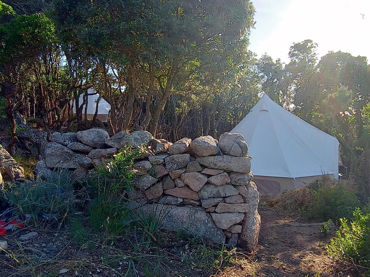 La Cera Farm Camping B&B Санта Тереза Галура Екстериор снимка