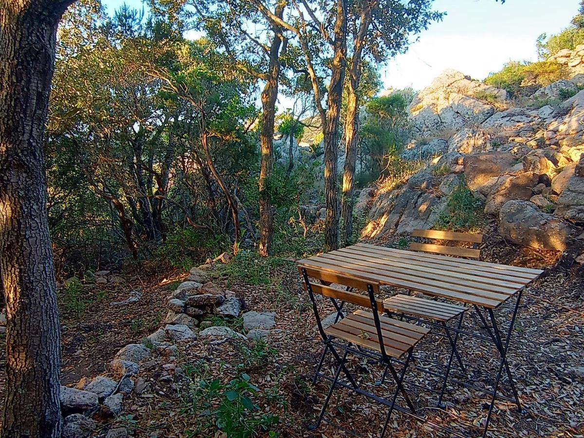 La Cera Farm Camping B&B Санта Тереза Галура Екстериор снимка