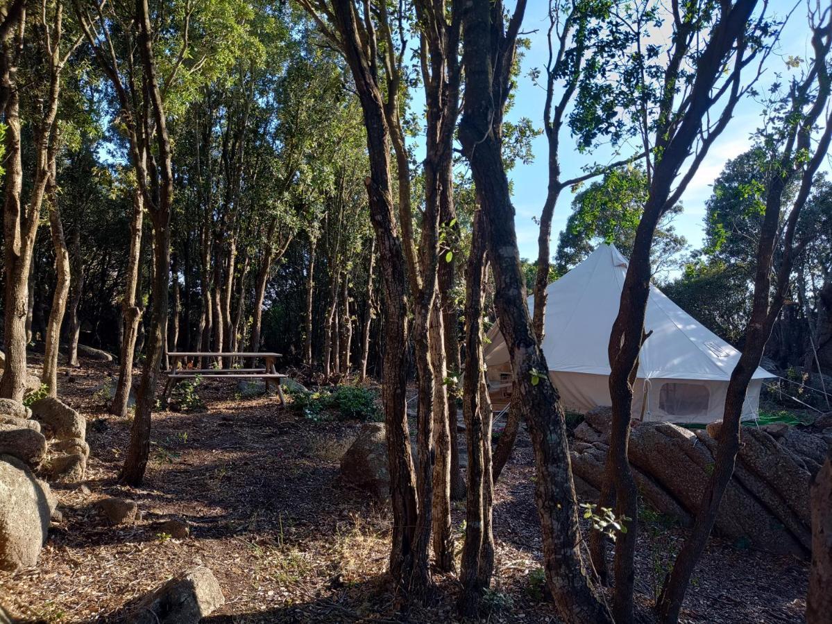 La Cera Farm Camping B&B Санта Тереза Галура Екстериор снимка
