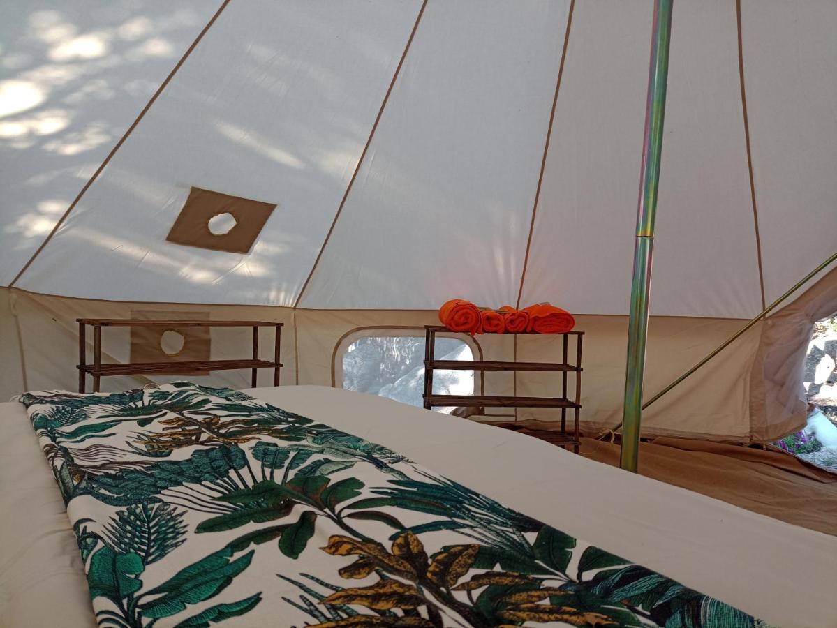 La Cera Farm Camping B&B Санта Тереза Галура Екстериор снимка