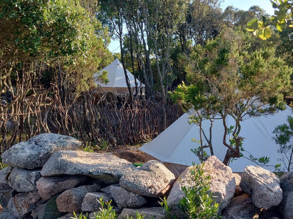La Cera Farm Camping B&B Санта Тереза Галура Екстериор снимка