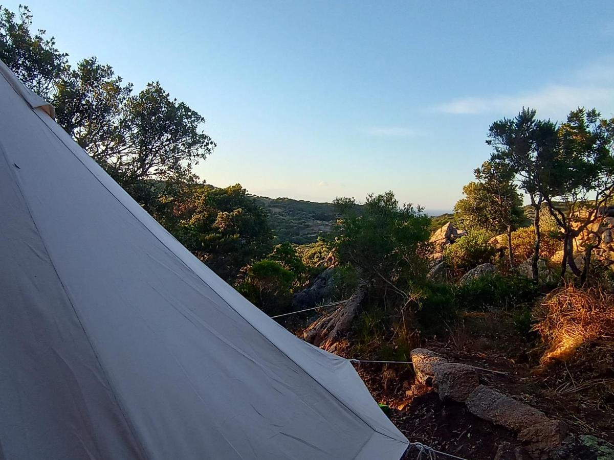 La Cera Farm Camping B&B Санта Тереза Галура Екстериор снимка
