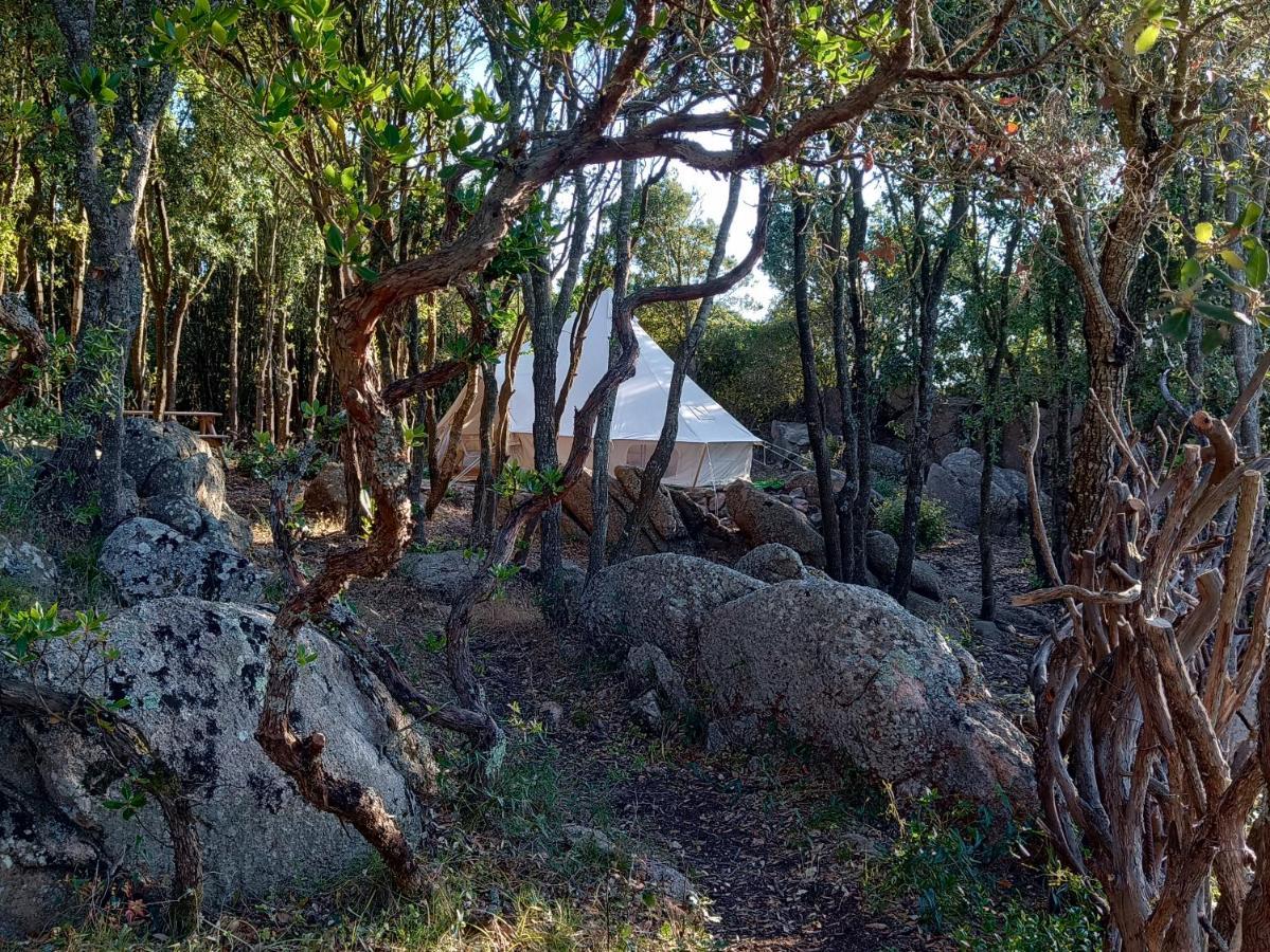 La Cera Farm Camping B&B Санта Тереза Галура Екстериор снимка