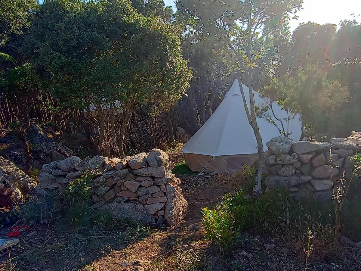 La Cera Farm Camping B&B Санта Тереза Галура Екстериор снимка