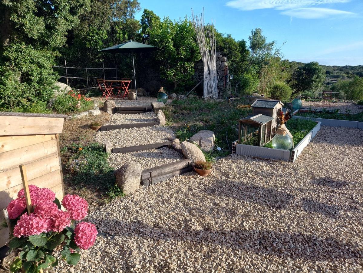 La Cera Farm Camping B&B Санта Тереза Галура Екстериор снимка
