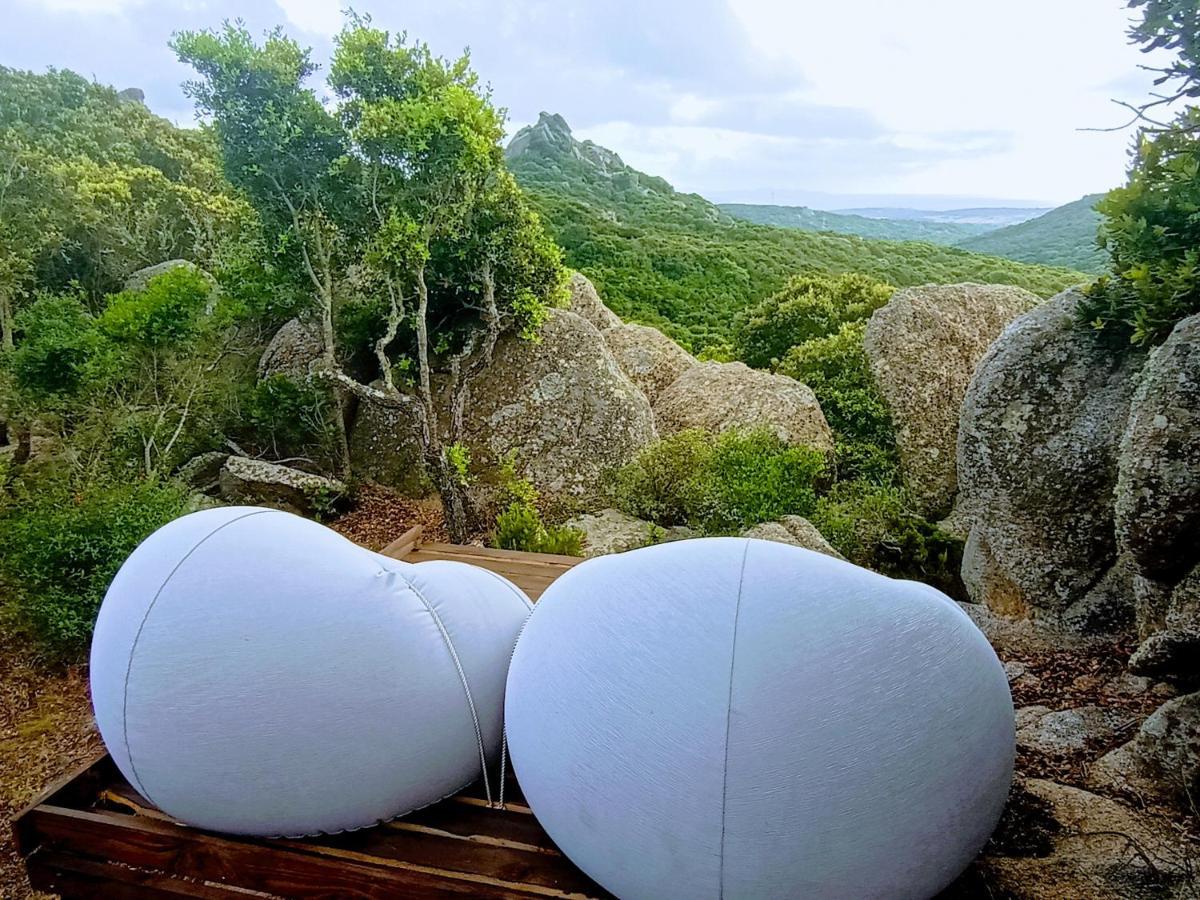 La Cera Farm Camping B&B Санта Тереза Галура Екстериор снимка