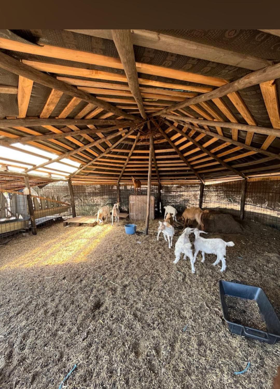 La Cera Farm Camping B&B Санта Тереза Галура Екстериор снимка
